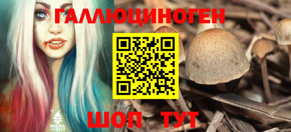Галлюциногенные грибы мухоморы Ржев